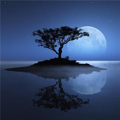 乐鱼体育APP下载安装